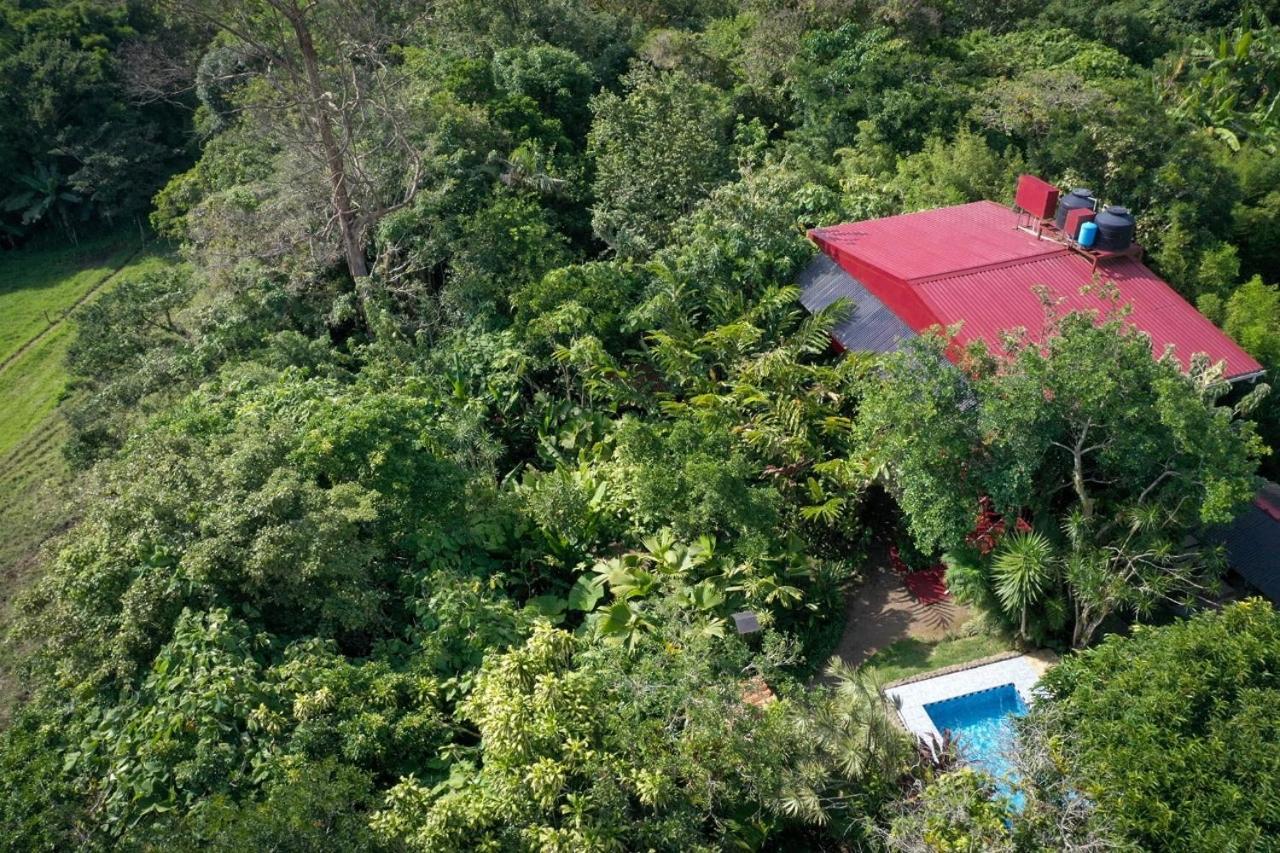 Bed and Breakfast La Boruca San Isidro  Exteriér fotografie