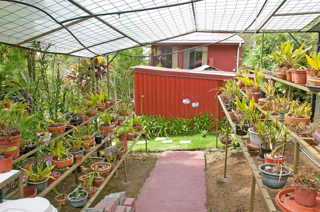 Bed and Breakfast La Boruca San Isidro  Exteriér fotografie