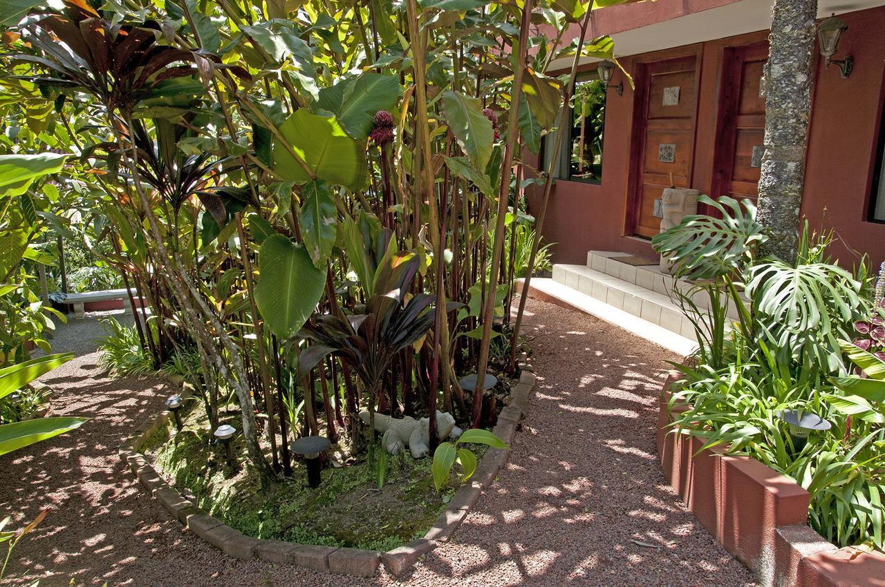 Bed and Breakfast La Boruca San Isidro  Exteriér fotografie